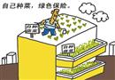 自己種菜 綠色保險(xiǎn)