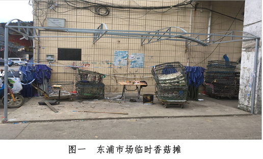 塘廈鎮(zhèn)“9·17”一般觸電事故調(diào)查報告