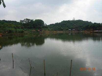 大嶺山鎮(zhèn)“10·6”一般淹溺事故調(diào)查報告