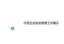 示范企業(yè)安全管理工作展示