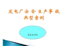 發(fā)電廠安全生產(chǎn)事故典型案例培訓(xùn)