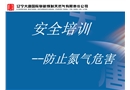 防止氮氣危害安全培訓(xùn)