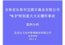 吉林省長春市寶源豐禽業(yè)有限公司63特別重大火災爆炸事故案例