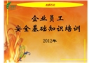 企業(yè)員工安全基礎(chǔ)知識培訓(xùn)