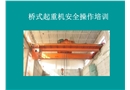 橋式起重機(jī)安全操作培訓(xùn)