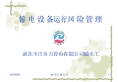 輸電設(shè)備運(yùn)行風(fēng)險(xiǎn)管理