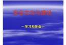 安全文化與建設(shè)