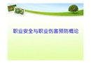 職業(yè)安全與職業(yè)傷害預(yù)防概論