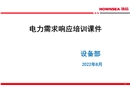 電力需求響應(yīng)培訓(xùn)課件