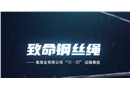 致命鋼絲繩-某煤業(yè)有限公司10.20運(yùn)輸事故