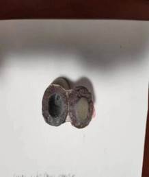 說(shuō)明: 24eac09b1e98f9eff4bd65c03349179