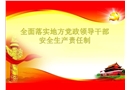 全面落實(shí)地方領(lǐng)導(dǎo)干部安全生產(chǎn)責(zé)任制規(guī)定