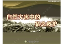 自然災(zāi)害中的緊急救護(hù)知識(shí)