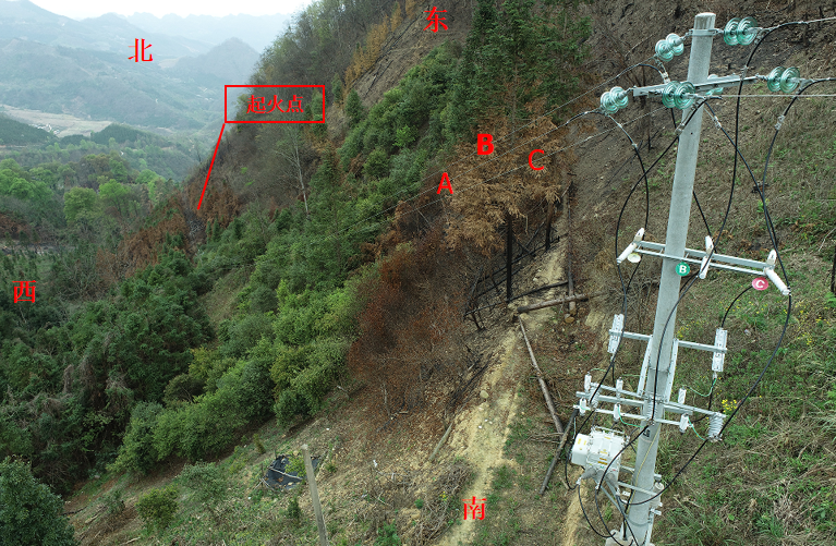 樂業(yè)縣幼平鄉(xiāng)達(dá)心村“2·21”森林火災(zāi)調(diào)查報告