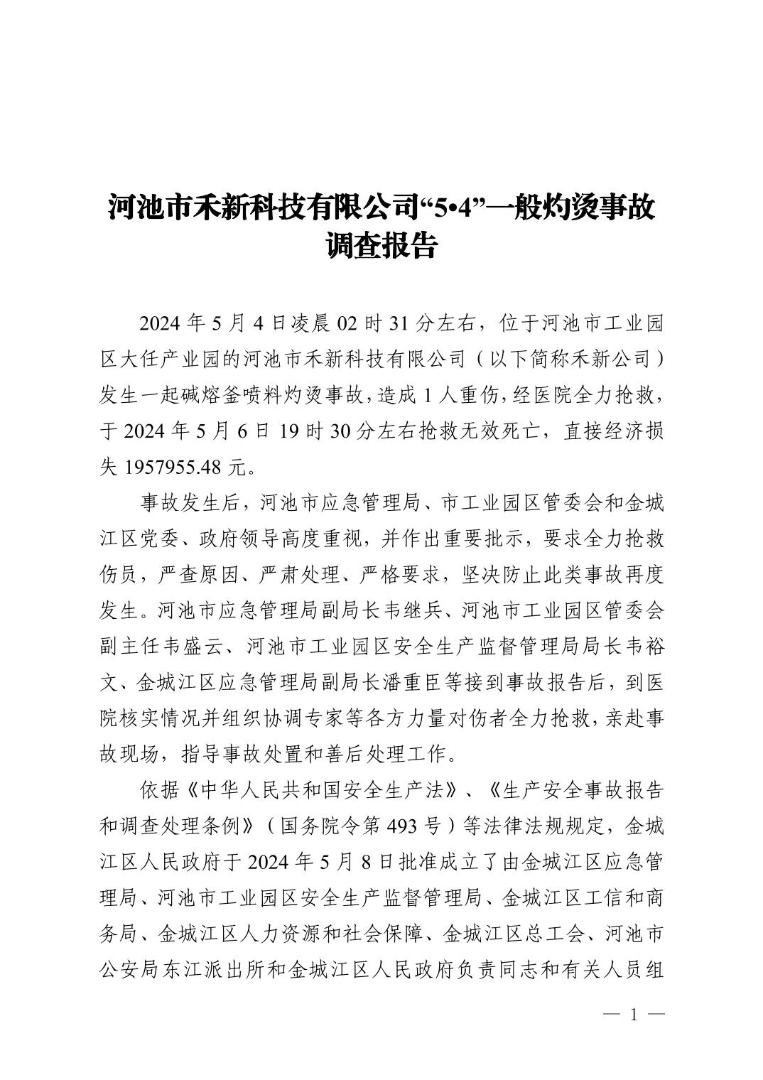河池市禾新科技有限公司“5.4”一般灼燙事故調(diào)查報(bào)告