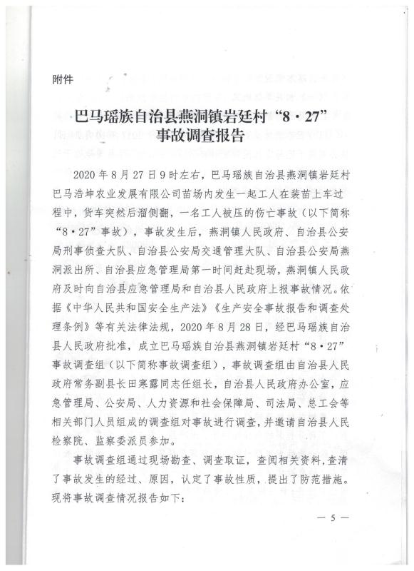巴馬瑤族自治縣燕洞鎮(zhèn)巖廷村“8·27”事故調(diào)查報告