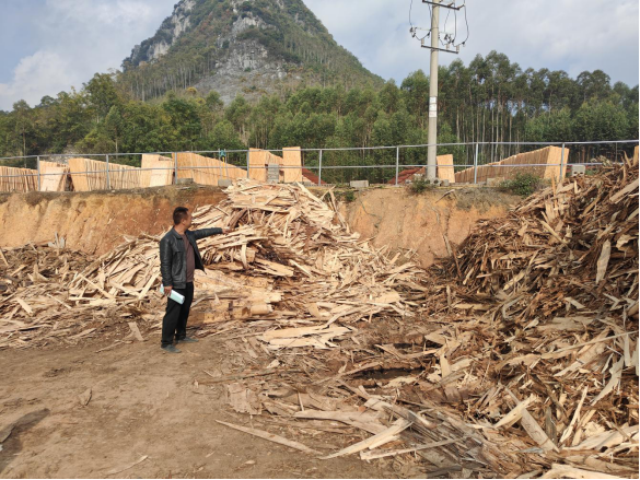 興賓良江來賓市興賓區(qū)齊峰木材有限責(zé)任公司“11·7”物體打擊事故調(diào)查報(bào)告