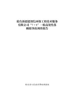 輪臺新疆德智信環(huán)保工程技術(shù)服務(wù)有限公司“7·9”一般高處墜落瞞報事故調(diào)查報告