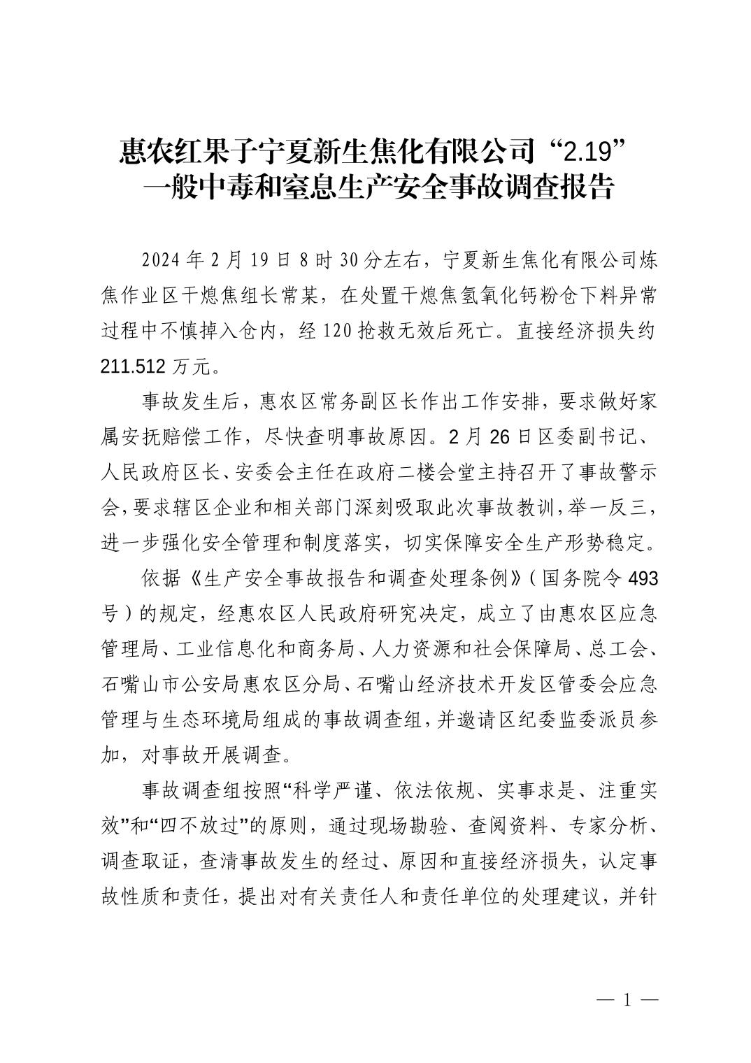 惠農(nóng)紅果子寧夏新生焦化有限公司“2.19”一般中毒和窒息生產(chǎn)安全事故調(diào)查報(bào)告