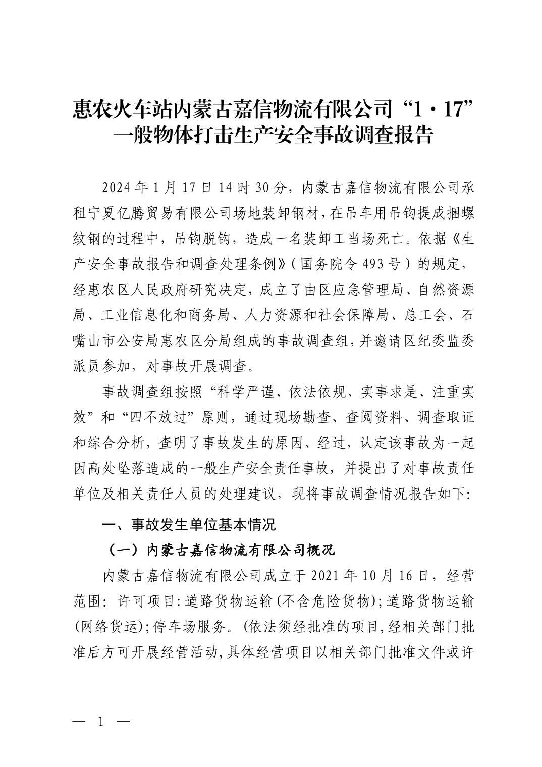 惠農(nóng)火車站內(nèi)蒙古嘉信物流有限公司“1·17”一般物體打擊生產(chǎn)安全事故調(diào)查報(bào)告