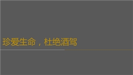 飲酒健康與酒駕危害培訓(xùn)