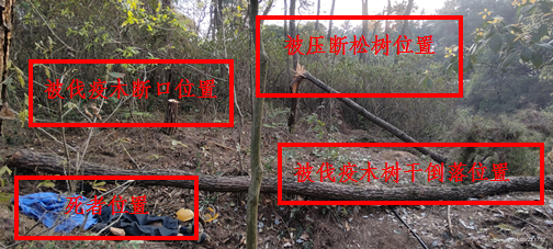 重慶榮昌區(qū)廣順街道逸軒木業(yè)加工廠“3?23”一般物體打擊事故調(diào)查報(bào)告