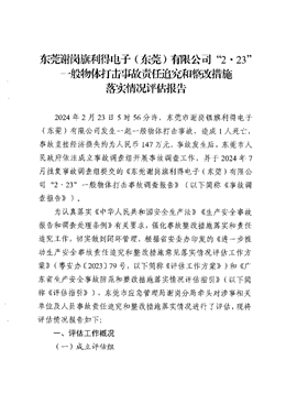 東莞謝崗旗利得電子（東莞）有限公司“2·23”一般物體打擊事故責(zé)任追究和整改措施落實(shí)情況評(píng)估報(bào)告