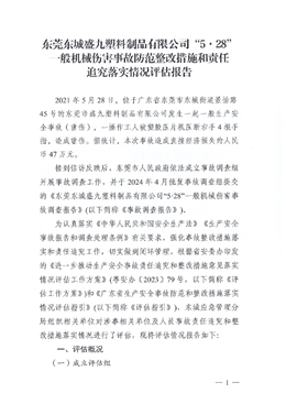 東莞東城盛九塑料制品有限公司“5·28”一般機(jī)械傷害事故防范整改措施和責(zé)任追究落實(shí)情況評(píng)估報(bào)告