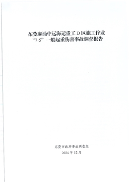 東莞麻涌中遠(yuǎn)海運(yùn)重工D區(qū)施工作業(yè)“7·5”一般起重傷害事故調(diào)查報(bào)告