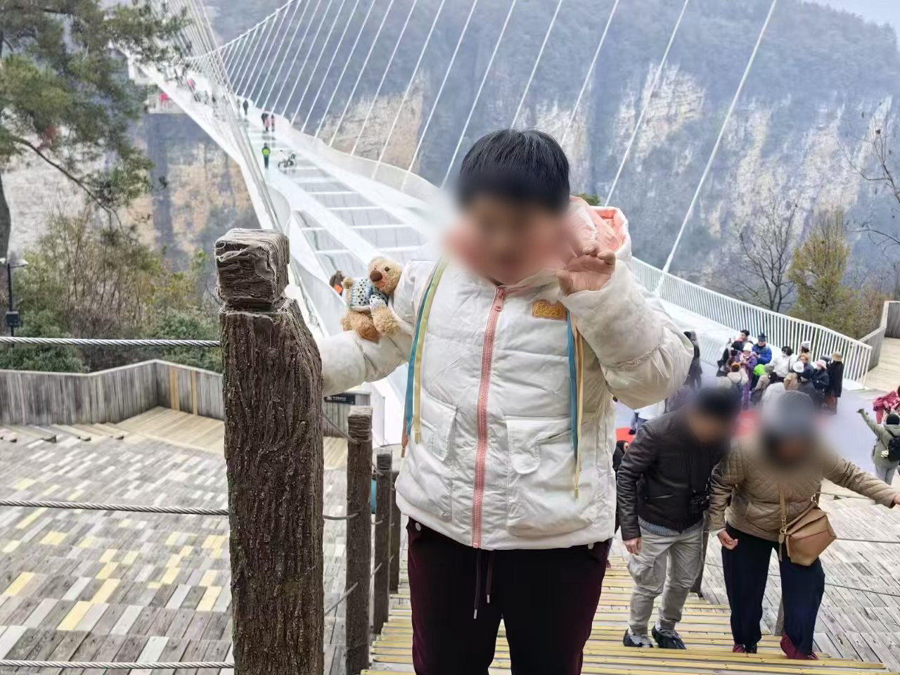 鐵路穿村而過：一個湘西村莊與17起火車撞人事故