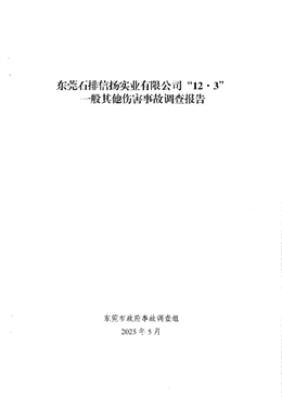 東莞石排信揚(yáng)實(shí)業(yè)有限公司“12·3”一般其他傷害事故調(diào)查報(bào)告
