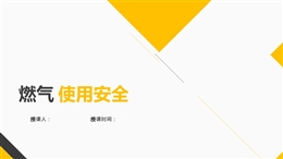 燃?xì)馐褂冒踩嘤?xùn)課件