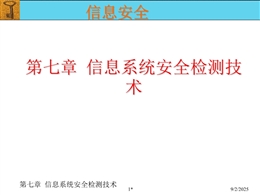 信息系統(tǒng)安全檢測(cè)技術(shù)