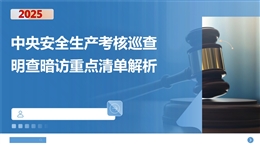 中央安全生產(chǎn)考核巡查明查暗訪重點(diǎn)清單解析