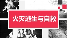 各類場所火災(zāi)逃生與自救培訓(xùn)