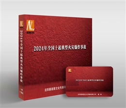 2024年全國(guó)十起典型火災(zāi)爆炸事故