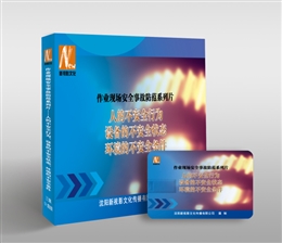 作業(yè)現(xiàn)場(chǎng)安全事故防范系列片(合集)