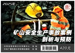 礦山安全生產(chǎn)事故案例剖析與預(yù)防（2025版）