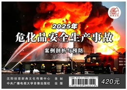 ?；钒踩a(chǎn)事故案例剖析與預(yù)防（2025版）