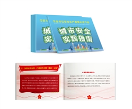 習(xí)總書記安全生產(chǎn)重要論述下的城市安全實踐指南隨身學(xué)