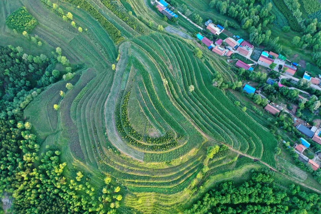生態(tài)系統(tǒng)健康和管理——加強(qiáng)生態(tài)技術(shù)和工程管理，促進(jìn)生態(tài)系統(tǒng)健康發(fā)展