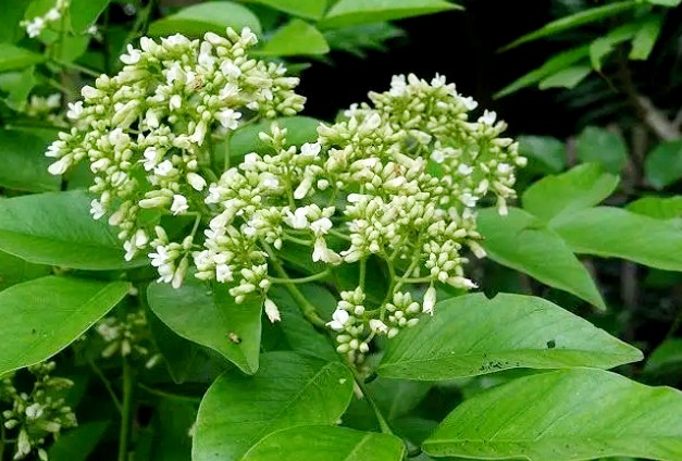 微信截圖_20231205172018.jpg 微信截圖_20231205172018.jpg