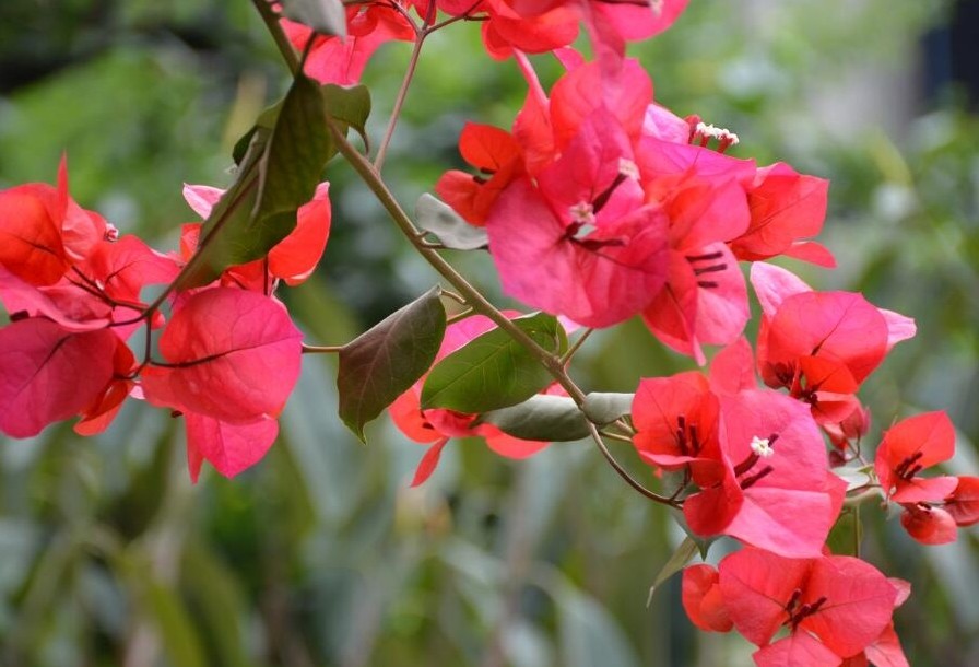 三角??1.jpg 三角??1.jpg