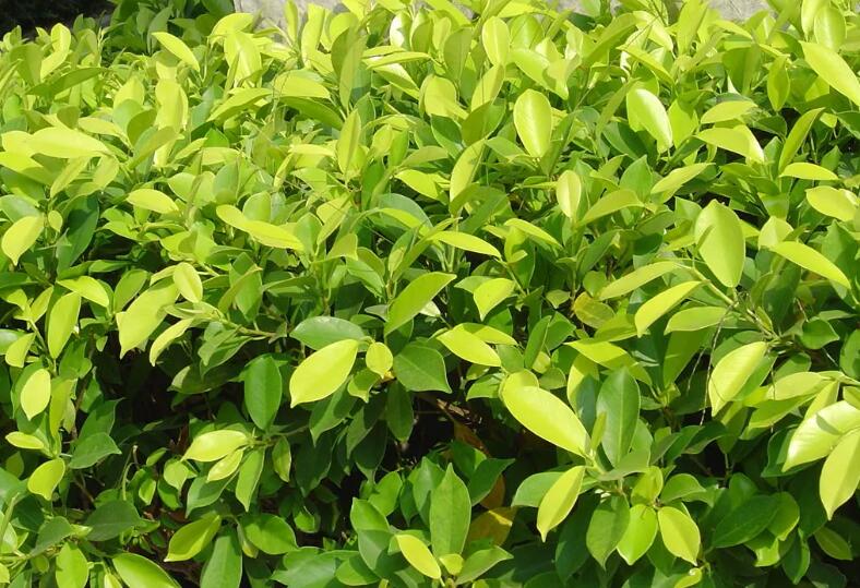 QQ截圖20240603082913.jpg QQ截圖20240603082913.jpg