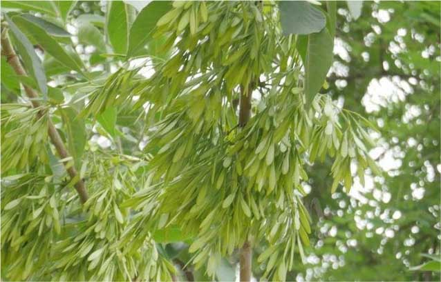 7dd98d1001e93901213f3d80a5b443e736d12f2e384e.jpg 7dd98d1001e93901213f3d80a5b443e736d12f2e384e.jpg